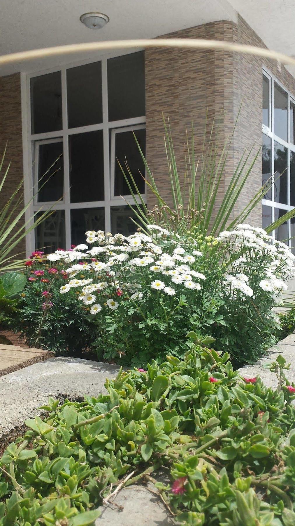 White House Addis Hotel エクステリア 写真